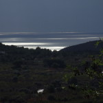 DSCF5001_1024
